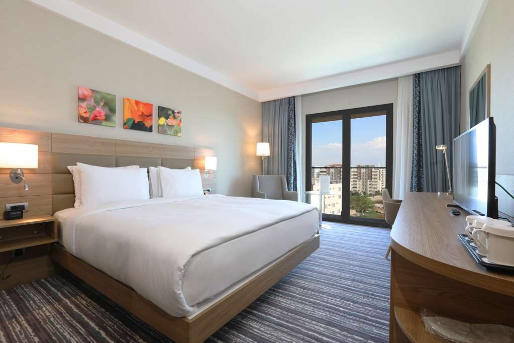 Hilton Garden Inn アドゥヤマン 部屋 写真