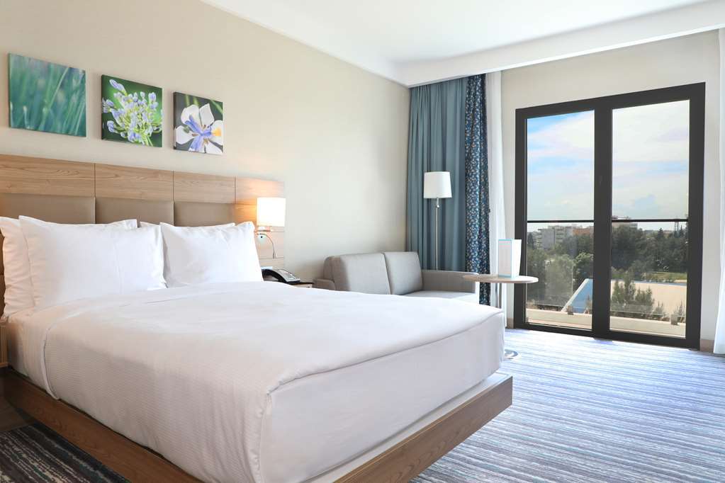 Hilton Garden Inn アドゥヤマン 部屋 写真